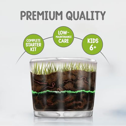 Worm Farm for Kids Kit with 20 Live Composting Worms, All-in-One Bundle - style: Farm+Live Worms