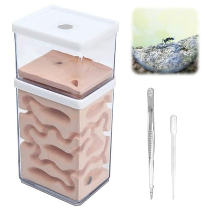 2-Tier Plaster Ant Farm Formicarium Transparent Ant Nest Habitat