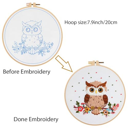 Louise Maelys Cute Owl Embroidery Kit for Beginners Animal DIY - color: Color 24