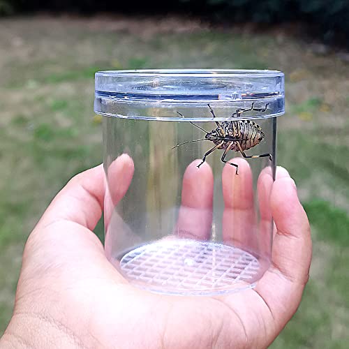 8 Pieces Bug Viewer Critter Insect Cage Magnifying Insect Box Bug Magnifier Container Bug Catcher Cage, Science Nature Exploration Tools