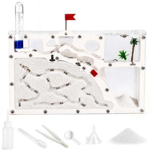 Ant Farm Kit for Kids, Large Ant Farm with Sand, Ant Colony Observation Kit