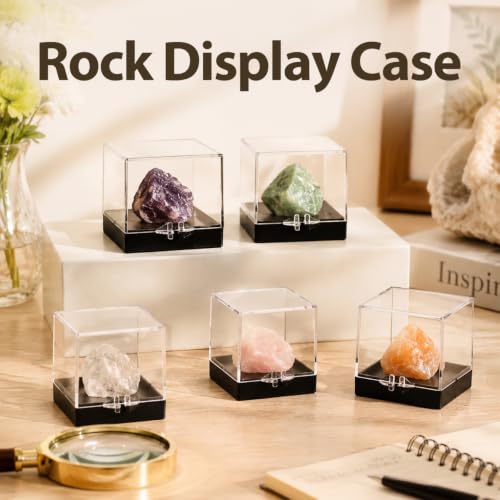 Cabilock 12 pack Mineral Specimen Box Clear Specimen Display Cases for Rock Samples 1.37 X 1.37 X 1.37 in Transparent Storage Cubes for Mineral Display and Collection