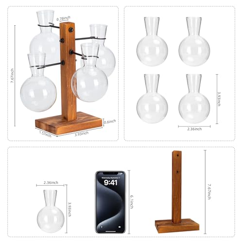 Plant Propagation Station with Wood Stand - 4 Bulb Glass Vases - size: Small