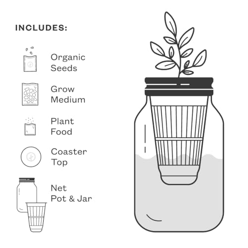 Modern Sprout Mason Jar Grow Set 6pk - Hydroponic Indoor Herb Garden Kit - color: Basil + Mint + Parsley + Cilantro + Rosemary+ Lavender, size: Garden Jars