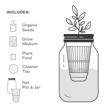 Modern Sprout Mason Garden Jar-Self-Watering Hydroponics Kit-Basil+Parsley - color: Basil+parsley, size: Garden Jars