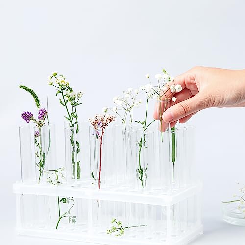 Xuhal 200 Pack Plastic Test Tubes 12 x 100mm 12 ml Lab Tubes Test for Scientific Themed Birthday Party Supplies (White Color) - color: White Color