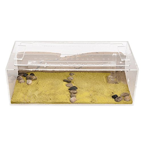 Sand Ant Farm Big - Anthill, Formicarium, Educational, Ants -