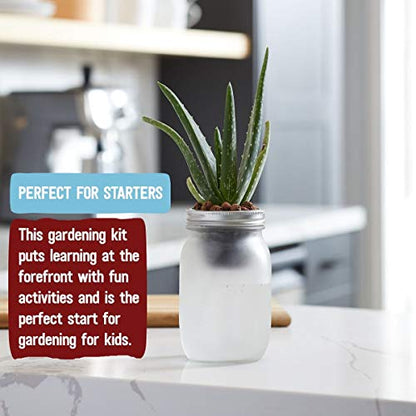 Back to the Roots Self Watering Grow Kit - Glass Hydroponic Planters for Succulents and Cacti Self-Watering System (Pack of 3) - size: 1 Count (Pack of 3), style: Self-Watering Succulent Kit