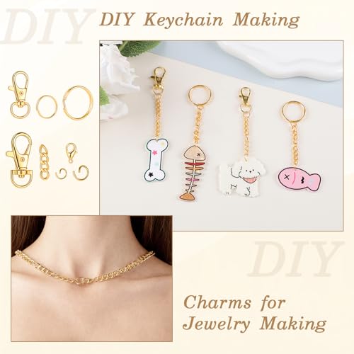 BESARME Keychain Making Kit, 1130Pcs Jump Rings & Clasps, Gold - color: Gold