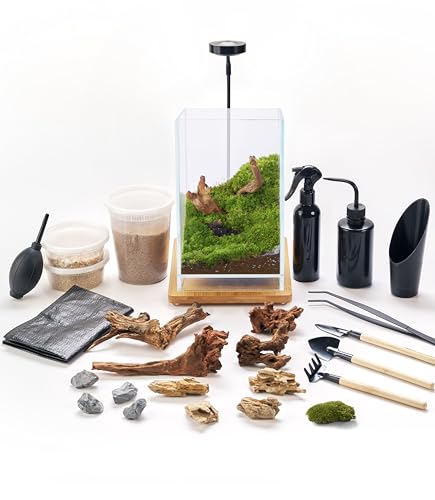 27 PCS Glass Plant Terrarium Kit with LED Grow Light– DIY Moss Terrarium Kit for Adults, Mini Garden Set for Succulent, Real Live Moss, and Air Plants – Home Office Decoration & Unique Gift fo Friend - size: Tall Cube Set