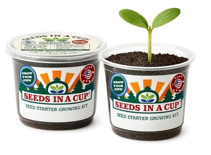 Dogwood Tree Seed Starter Grow Kit, Easy to use, Educational, Great Gift idea, Grow Your Own Tree, Huge Plant and Tree Selection to Choose from, Gift for Him - style: Dogwood