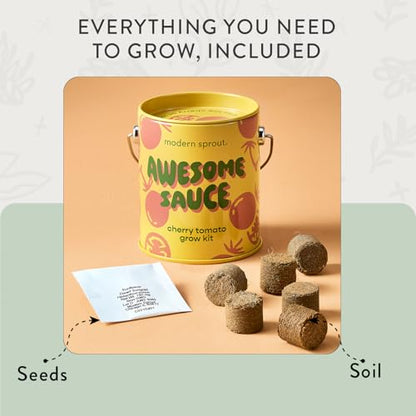 Modern Sprout Complimentary Color Grow Kits - Seed Starter Kit, Pack of 6 - size: Pack of 6