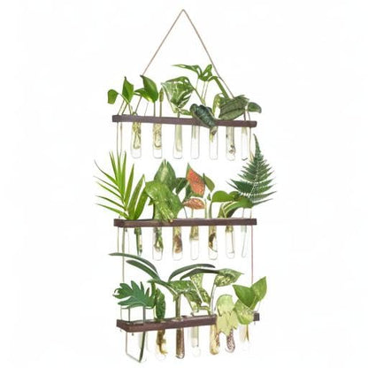 Mkono Plant Propagation Station, 3 Tier Large Brown Wall Hanging Vase Tubes - color: Brown, size: Large