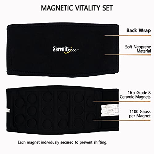 SERENITY2000 Full Body Magnetic Vitality Set, Large (Waist up to 50") - size: Large - Waist up to 50"