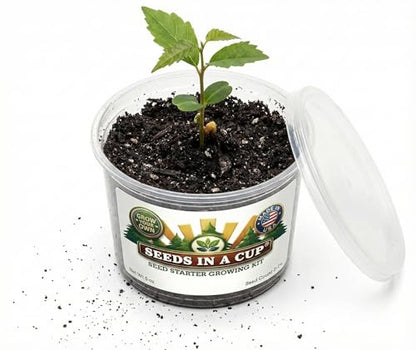 Rhubarb Grow Kit – Seeds in a Cup Indoor/Outdoor Starter Set with Real Potting Soil & Recyclable Planter with Lid | Step-by-Step Instructions | Non GMO | Made in USA – Easy Beginner Gardening Gift - style: Grow Kit
