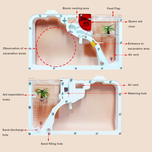 EXBEPE Ant Farm Castle for Kid Acrylic Ant Colony Observation Kit with Sand - style: S12