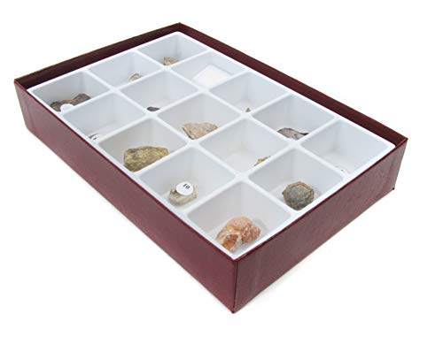 American Educational 15 Piece Specimen Mesozoic Fossils Collection