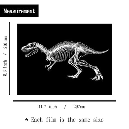 Animal X-Ray Set, Educational Science Kit, Light Table Accessory for Children (Dinosaurs) - style: Dinosaurs