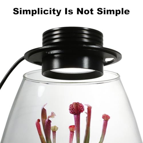 Desktop Glass Plant Terrarium with Grow Light for Carnivorous Plants & Moss
