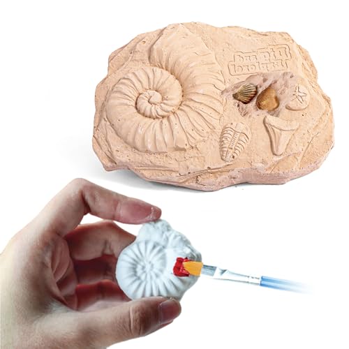 Fossil Dig Kit for Kids - 12 Unique Prehistoric Specimens