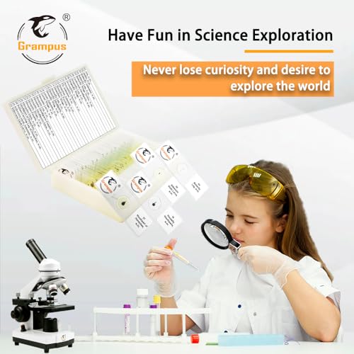 30 Prepared Microscope Slides with Specimens for Kids Students - Insects, for Biological Science Lab, Children's Science Education, Homeschooling Use - style: 30PCS Insects
