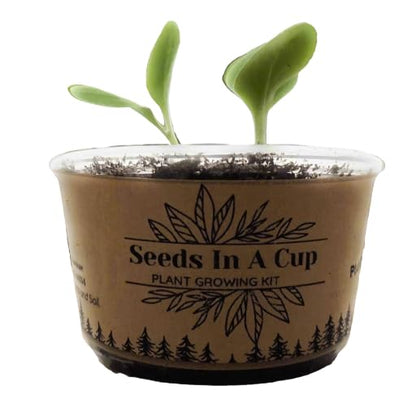 Rhubarb Vegetable Seed Starter Grow Kit, Made in USA, All-in-one Seed Starter Kit Seeds In A Cup® Come with Our Seeds Growth Promise.