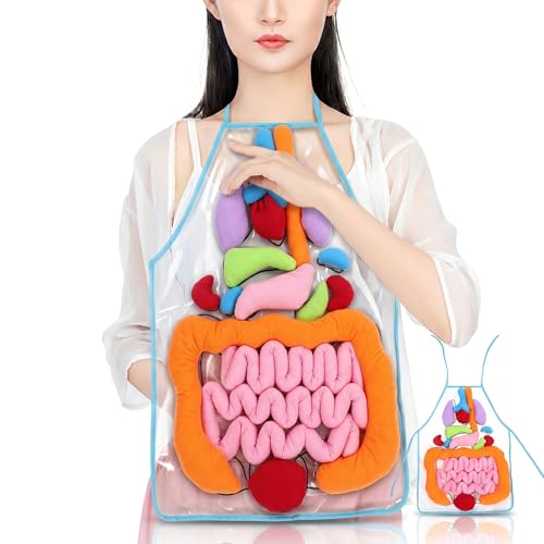 POPETPOP Human Organs Apron 3D Anatomy Teaching Apron for Kids Educational Learning Tool with Removable Plush Organs Preschool and Kindergarten Science Kit