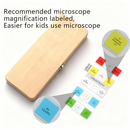 30 Lab-Grade Prepared Microscope Slides