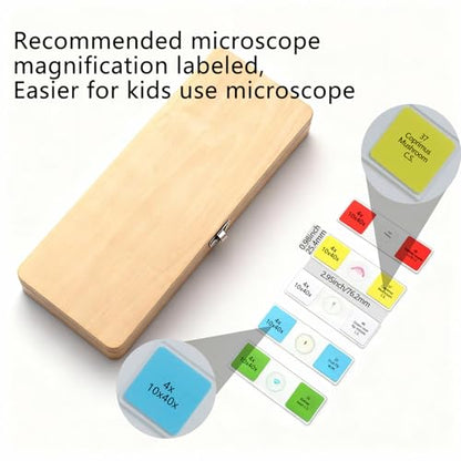 30 Lab-Grade Prepared Microscope Slides