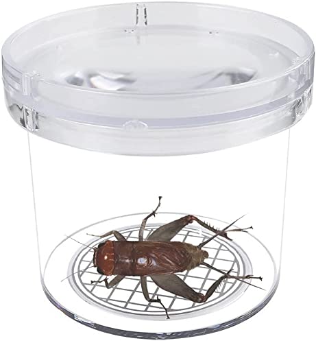 8 Pieces Bug Viewer Critter Insect Cage Magnifying Insect Box Bug Magnifier Container Bug Catcher Cage, Science Nature Exploration Tools