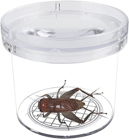8 Pieces Bug Viewer Critter Insect Cage Magnifying Insect Box Bug Magnifier Container Bug Catcher Cage, Science Nature Exploration Tools