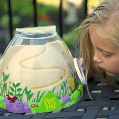 Insect Lore Ant Hill with Live Ants – Ant Habitat Kit with 50 Live Ants Included – STEM Educational Kit for Home or Classroom Observation
