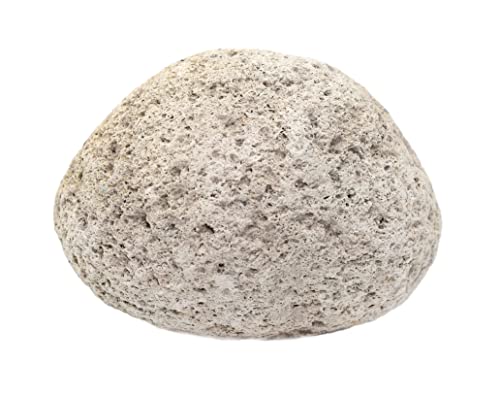 Eisco Pumice Igneous Rock Specimen, Geologist Selected & Hand Processed, 3" - size: 1 Count (Pack of 1)
