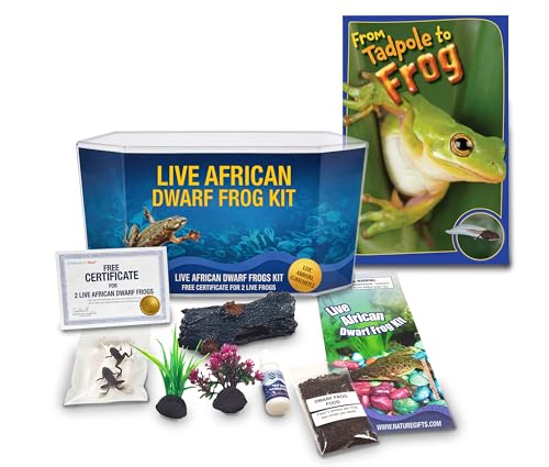African Dwarf Frog Kit with Certificate for 2 Live Frogs, Book, Tank Bundle