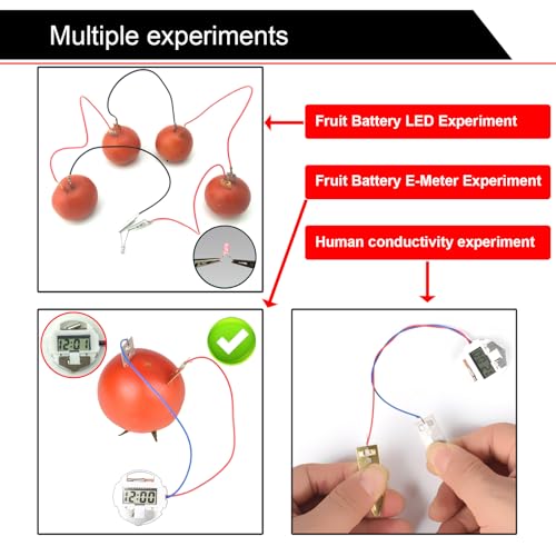 EUDAX Fruit Battery Science Experiment Kit with Electronic Clock and RGB LED for DIY Home Teaching Equipment, School Science Project, Education Subject (Pack of 2) - size: Small (Pack of 2)