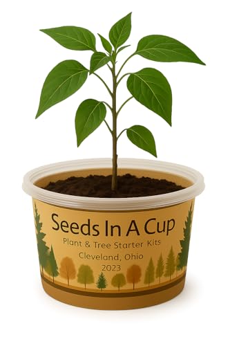 Seeds In A Cup- Pecan Tree Grow Kit – Tree Seed Starter for Kids & Adults | Indoor & Outdoor Planting | Easy Grow Your Own Tree Kit with Seed Growth Promise
