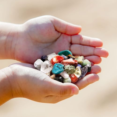 Gamerside Rock Collection Box 36 Cool Rocks, STEM Science Kit for Kids 6+ - color: 36 Rocks