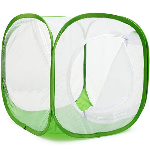 Insect and Butterfly Habitat Cage Terrarium Pop-up 12 X 12 X 12 Inches, Polyester Bottom for Easier Clean - size: 12 x 12 x 12 inches