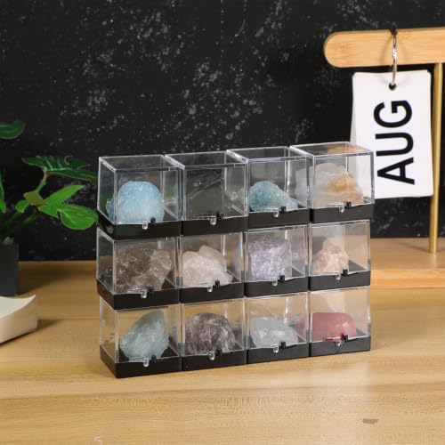 Healvian 12Pcs Clear Specimen Display Cases 1.37 X 1.37 X 1.37 in Acrylic Mineral Specimen Box Storage Cases with Lids for Rocks Crystals Small Samples Collectibles