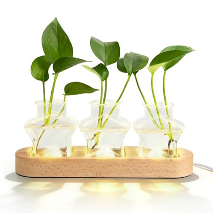 XXXFLOWER Plant Propagation Station with LED Light Wooden Base 3 Star Vases - color: LED Light