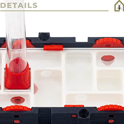 Anthouse.ES - Modular 3D Ant Farms - QBIK Duo Model - Expandable Terrarium for Medium Ants - 3D Ant Farm with Foraging Room - 6.78x12.78x5 cm - size: Medium