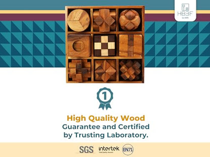 BSIRI 9 in 1 Wooden Brain Teaser Puzzles for Adults Teens Box Set Wood Hard Level 10 Impossible Mind Wood Brain Teaser Games 3D Hand Puzzle Sets for Decoration and Mini Toys - style: 9 Puzzle Set