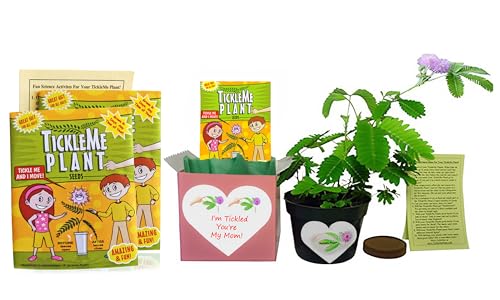 Product 1: TickleMe Plant Seeds Packets (2) Product 2: Mother's Day/Birthday TickleMe Plant Gift Box Set