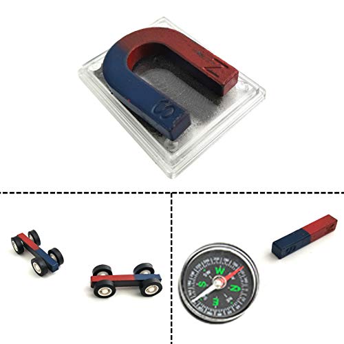 EUDAX Labs Junior Science Magnet Set for Education Science Experiment Tools Icluding Bar/Ring/Horseshoe/Compass Magnets - size: 1.97 inches