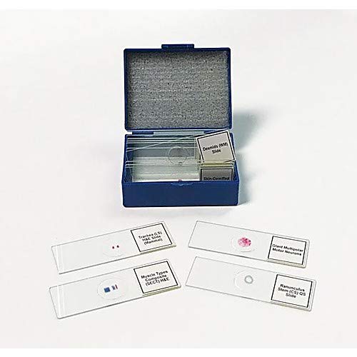 United Scientific Supplies SLD014, Biology Prepared Slide Set, 14 Pieces