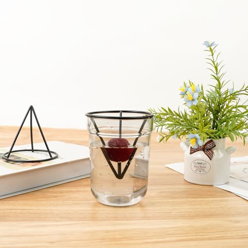 4 Pcs Avocado Seed Starter Rack Gardening Enthusiasts - color: Black