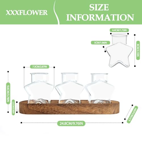 XXXFLOWER Plant Propagation Station with Wooden Stand 3 Star Jars - color: Transparent