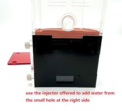 Ant Nest & House - Study Ant Behavior, Small Size