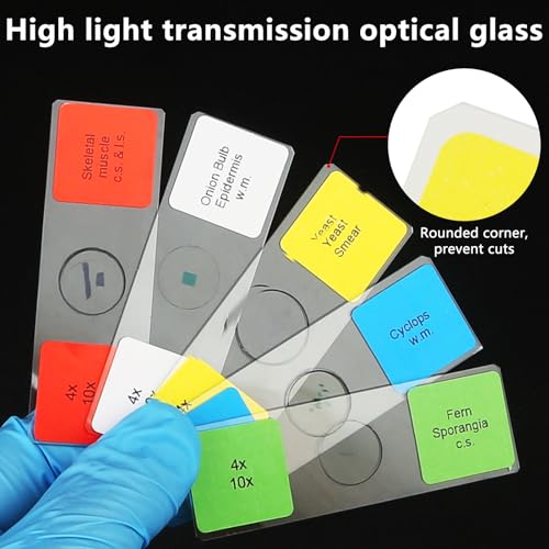 Microscope Slides with Specimens for Kids, 60 Lab-Grade Prepared Microscope Slides, Animal/Plant/Microbe/Tissue Samples, STEM Biology Kit for Homeschool, Classroom Labs & Science Education - size: Ages 8+