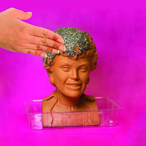 Chia Pet Golden Girls Blanche with Seed Pack, Decorative Pottery Planter, Easy to Do and Fun to Grow, Novelty Gift, Perfect for Any Occasion - style: GG Blanche - Active